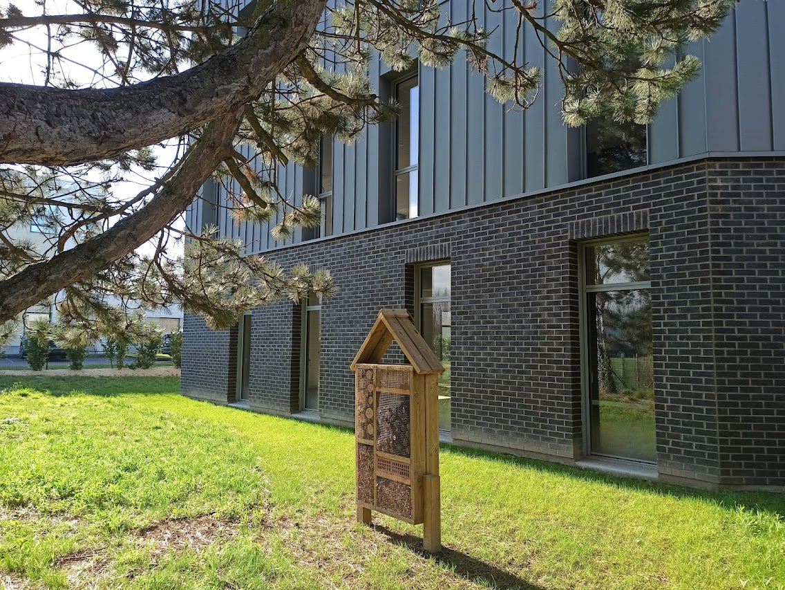 Miniature de la galerie