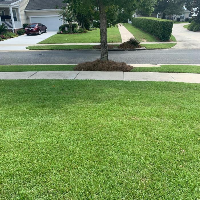 Gillmore Green Lawn Care & Tree Removal - Greenville, FL