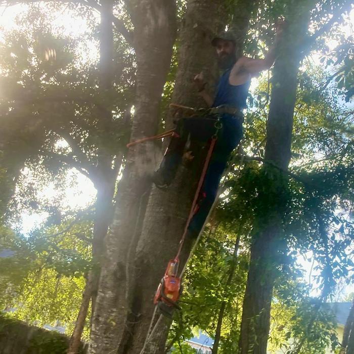 Gillmore Green Lawn Care & Tree Removal - Greenville, FL