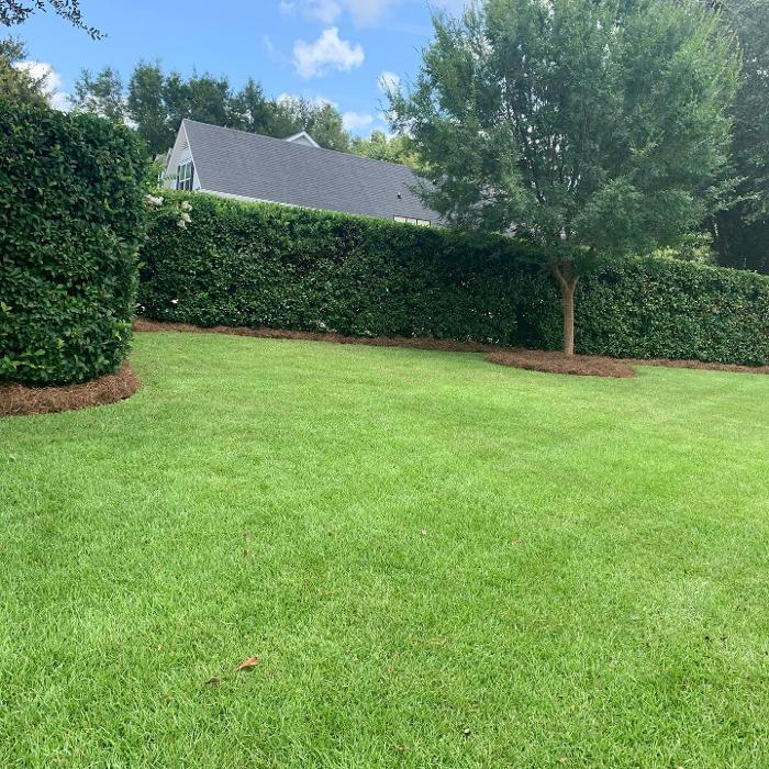 Gillmore Green Lawn Care & Tree Removal - Greenville, FL