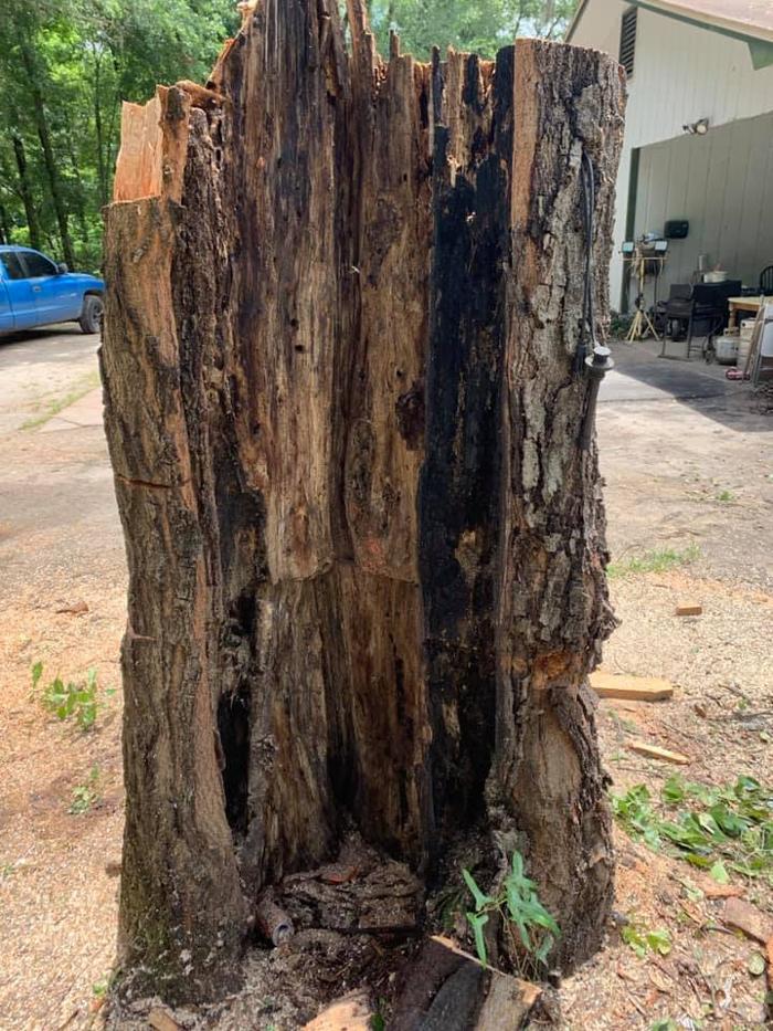 Gillmore Green Lawn Care & Tree Removal - Greenville, FL