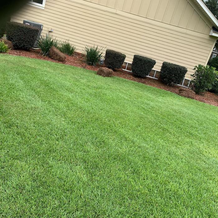 Gillmore Green Lawn Care & Tree Removal - Greenville, FL