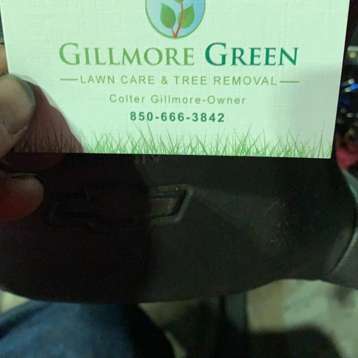 Gillmore Green Lawn Care & Tree Removal - Greenville, FL