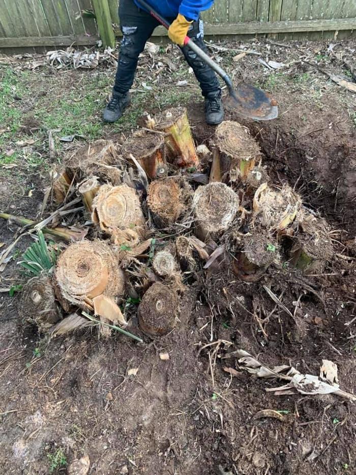 Gillmore Green Lawn Care & Tree Removal - Greenville, FL