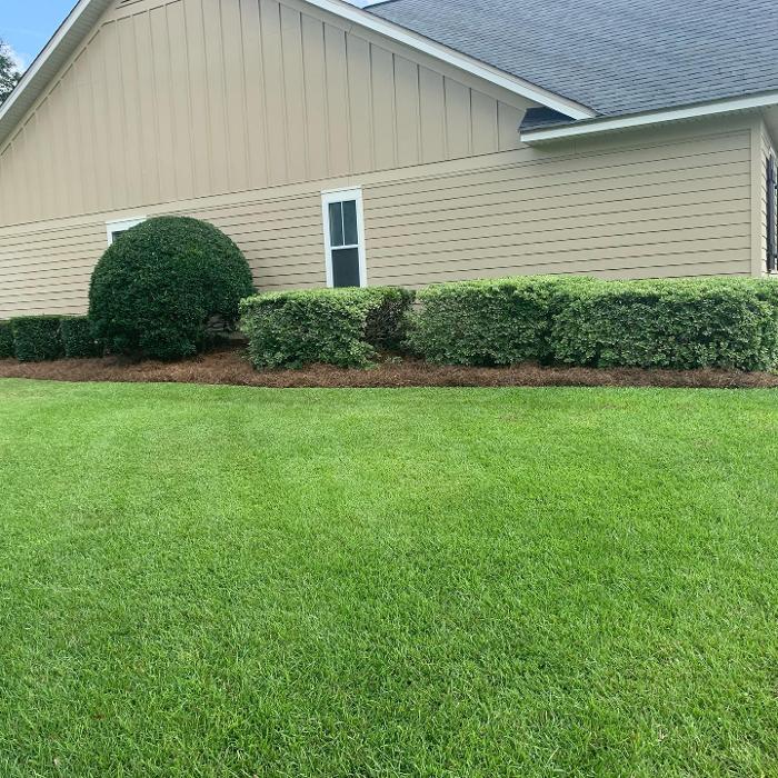 Gillmore Green Lawn Care & Tree Removal - Greenville, FL