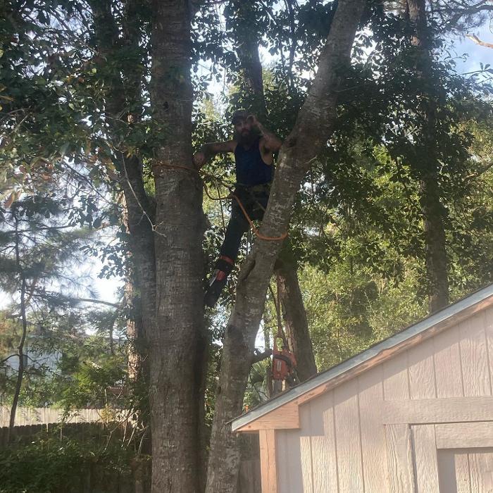 Gillmore Green Lawn Care & Tree Removal - Greenville, FL