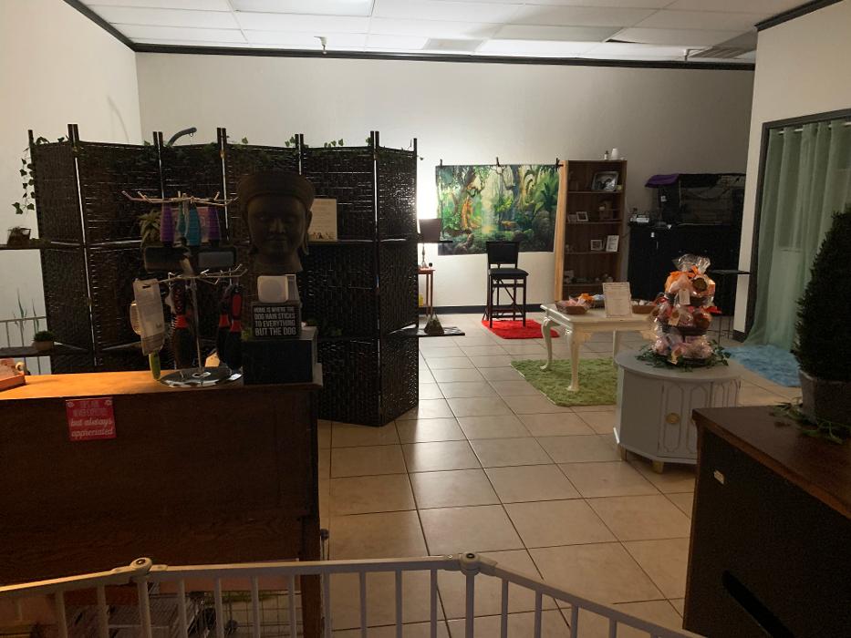 Lulu's Haute Doggie Spa & Pet Services - Folsom, CA