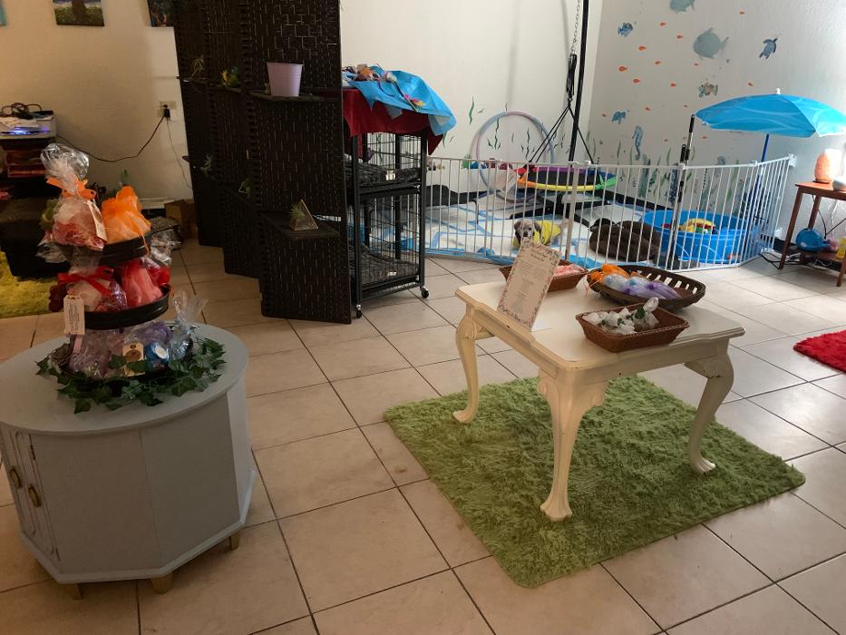 Lulu's Haute Doggie Spa & Pet Services - Folsom, CA