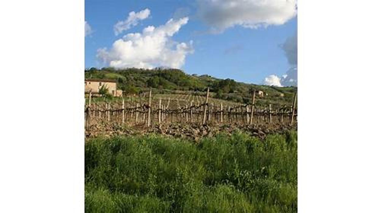 Weine Wagner, Marktstraße in Neuhausen auf den Fildern