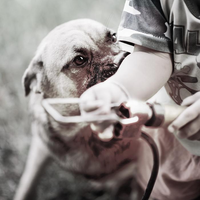 Mark L Levinson Law Firm - San Bernardino, CA