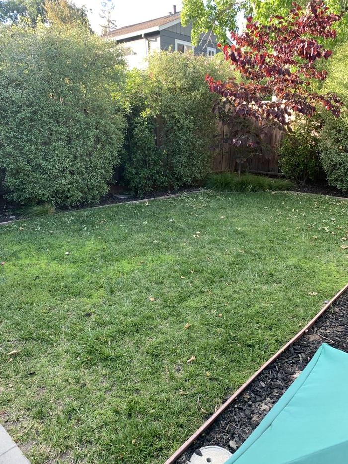 Hernandez Tree and Garden Service - Redwood City, CA