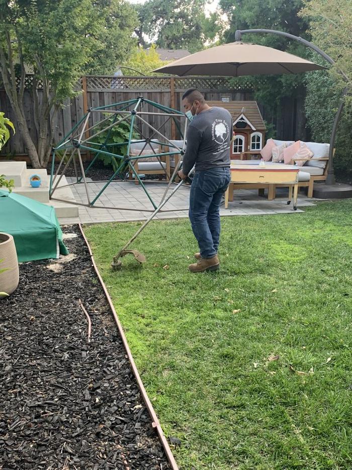 Hernandez Tree and Garden Service - Redwood City, CA