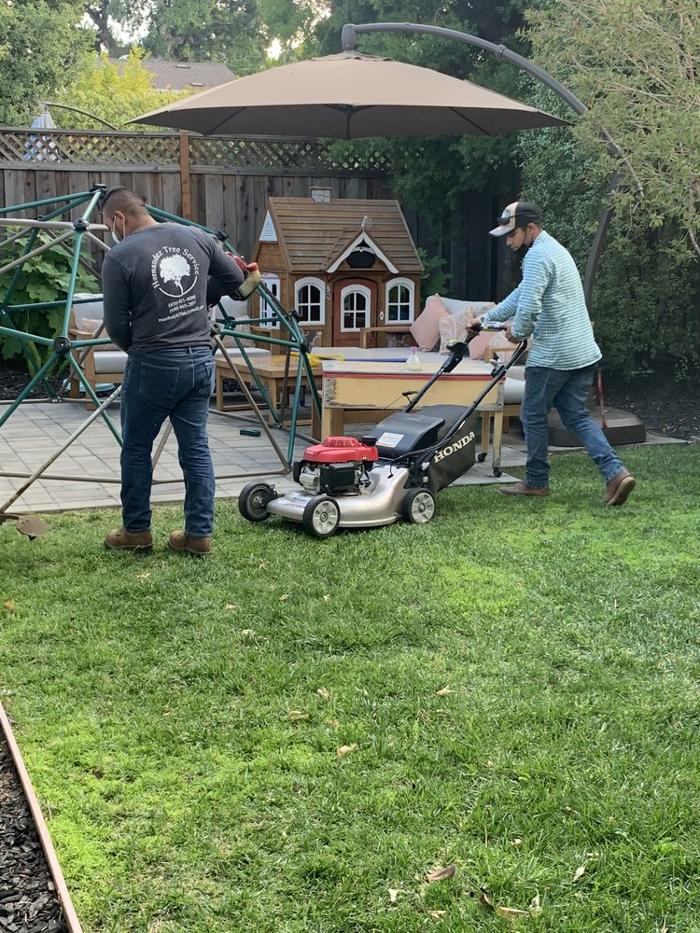 Hernandez Tree and Garden Service - Redwood City, CA