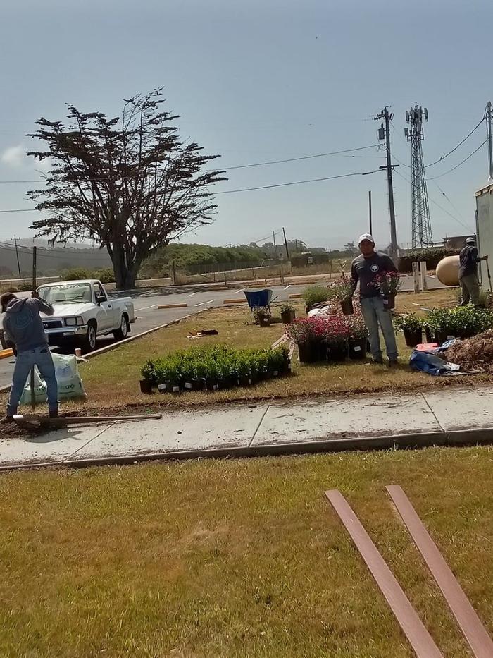 Hernandez Tree and Garden Service - Redwood City, CA