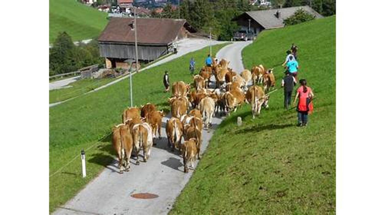 Gasthof Pension Brunnhaus, Brunnhaus in Finkenberg