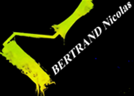 Bertrand Nicolas peintre (artiste)