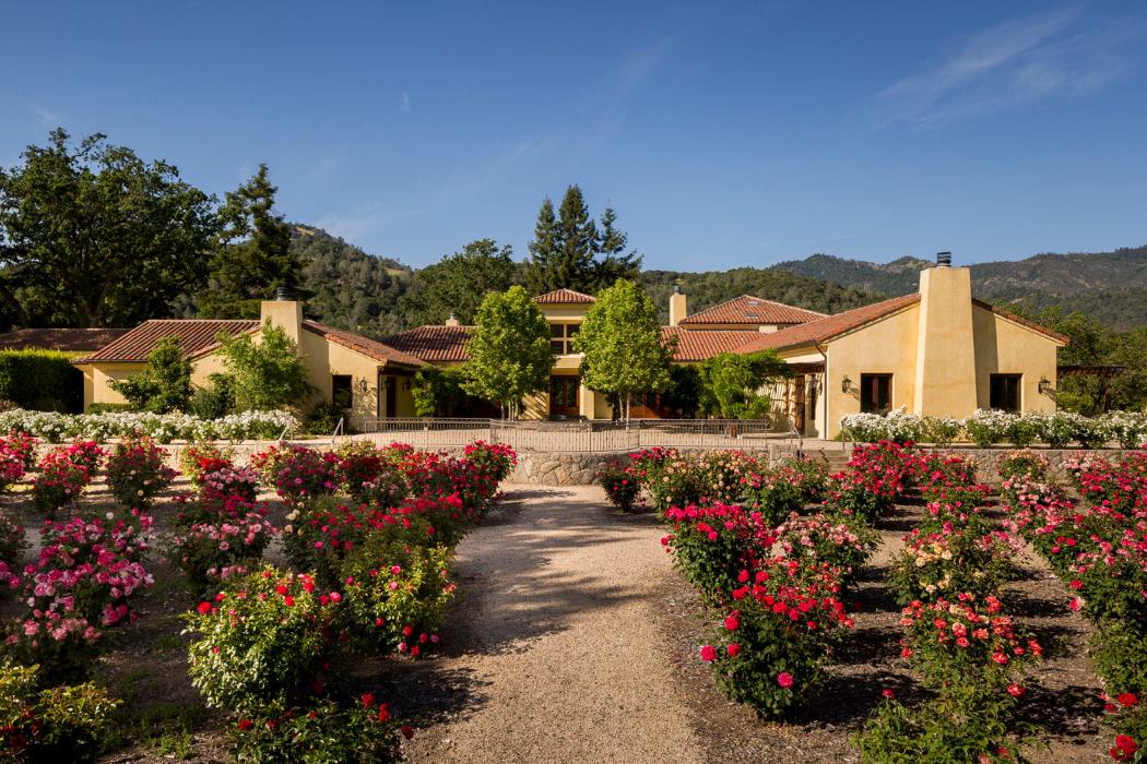 The Vine & Rose - Calistoga, CA