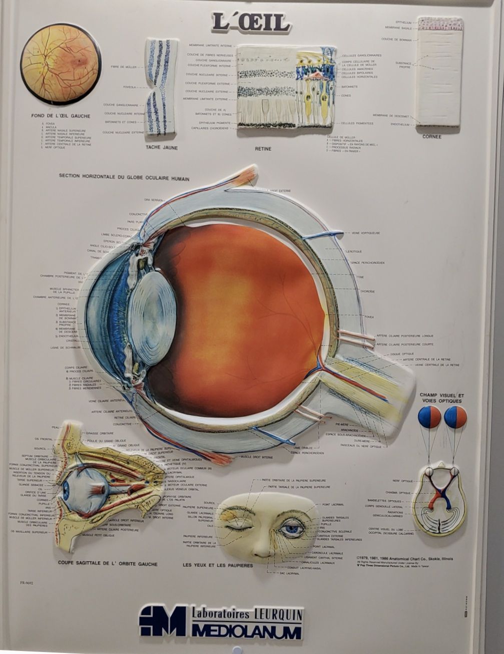 galerie image