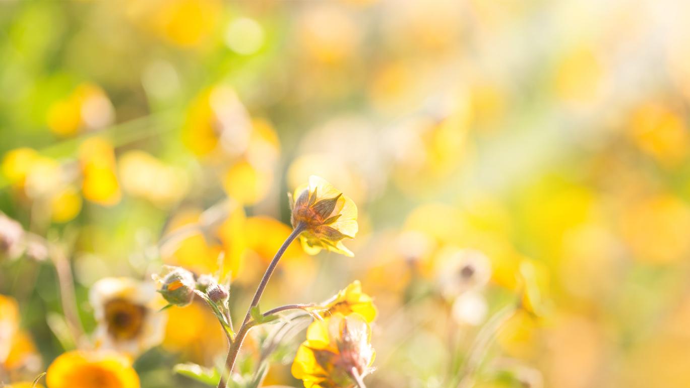 Psychotherapeutische Praxis für Kinder und Jugendliche Felicitas Harke, Kirchhofsweg in Ummerstadt