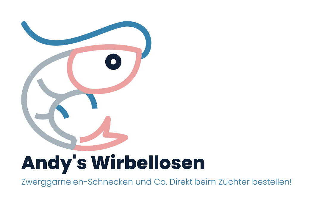 Andy's Wirbellosen Shop