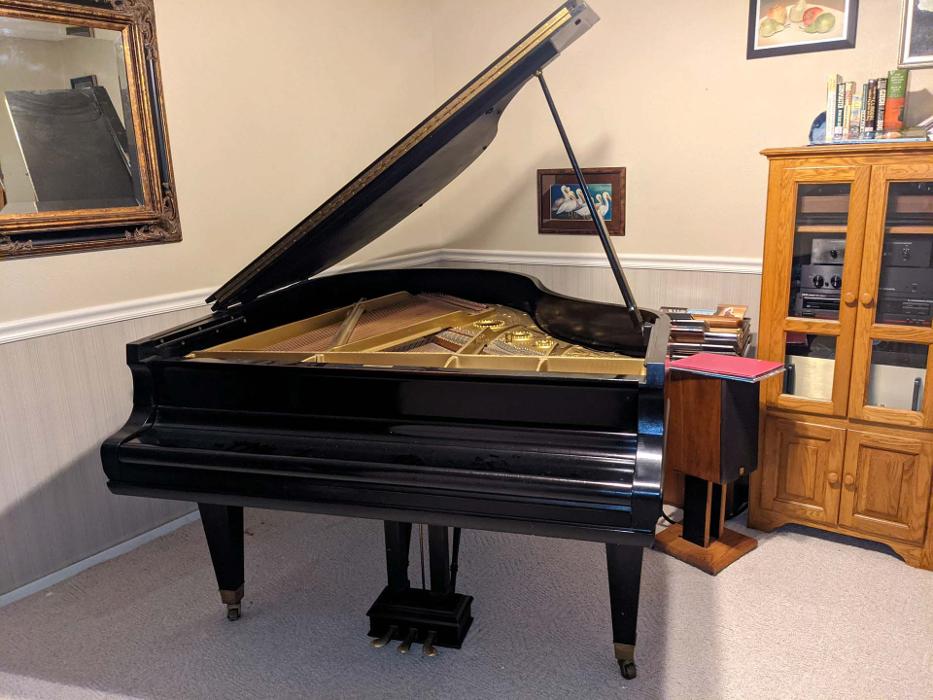 Distinguished Moving Services - Hot Springs National Park, AR