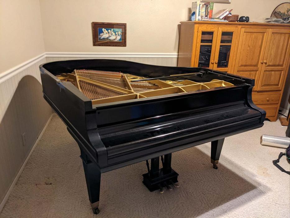 Distinguished Moving Services - Hot Springs National Park, AR