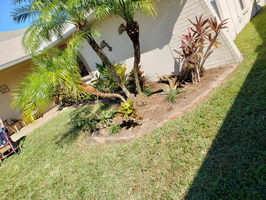 Spring Scape LLC - Spring Hill, FL