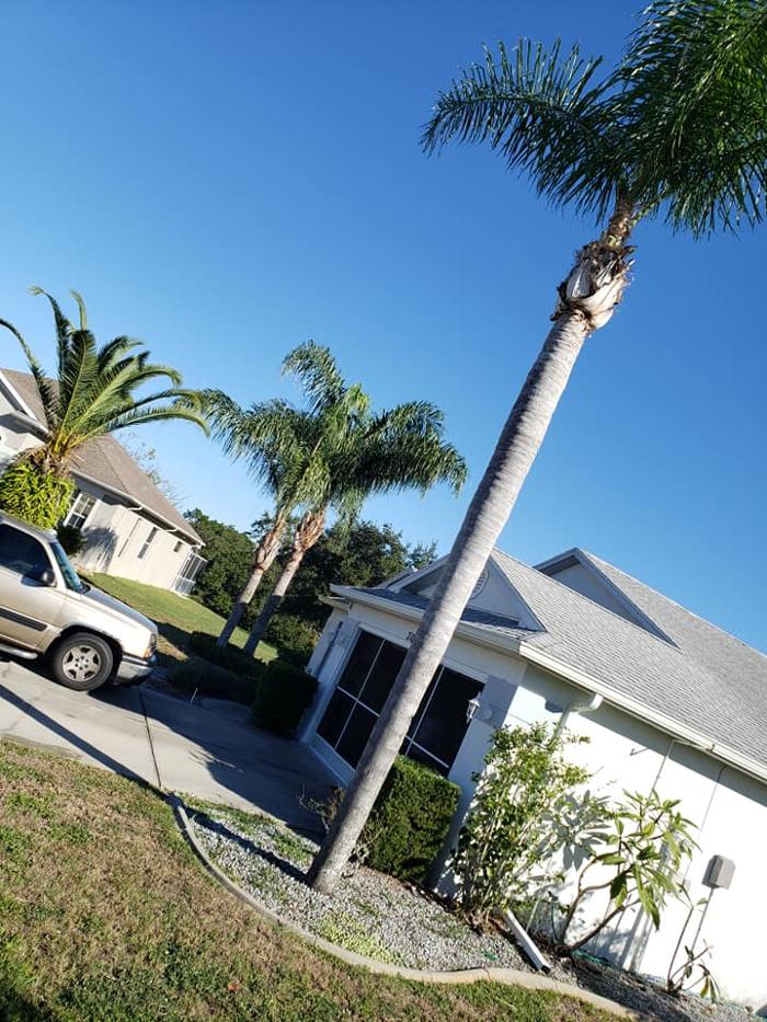 Spring Scape LLC - Spring Hill, FL