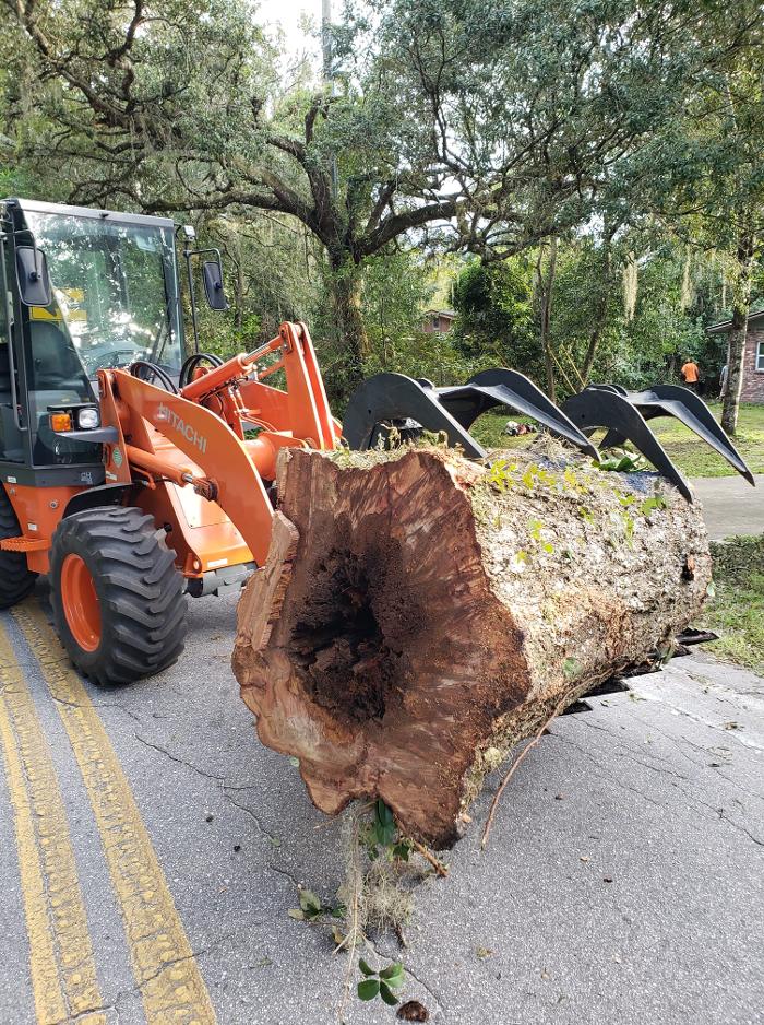 Spring Scape LLC - Spring Hill, FL