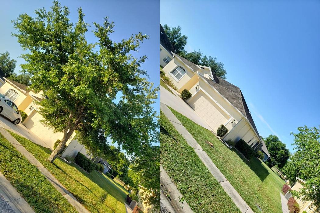 Spring Scape LLC - Spring Hill, FL