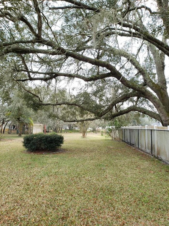 Spring Scape LLC - Spring Hill, FL