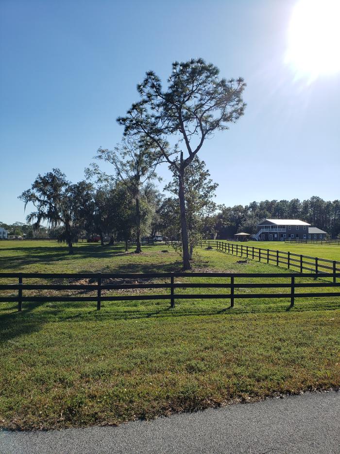 Spring Scape LLC - Spring Hill, FL