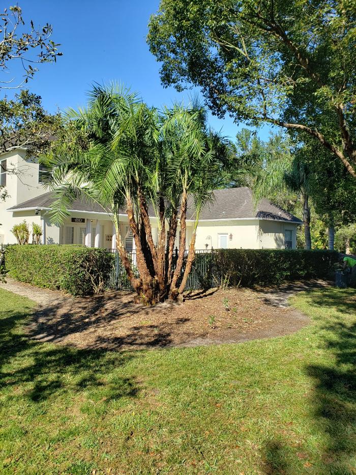 Spring Scape LLC - Spring Hill, FL