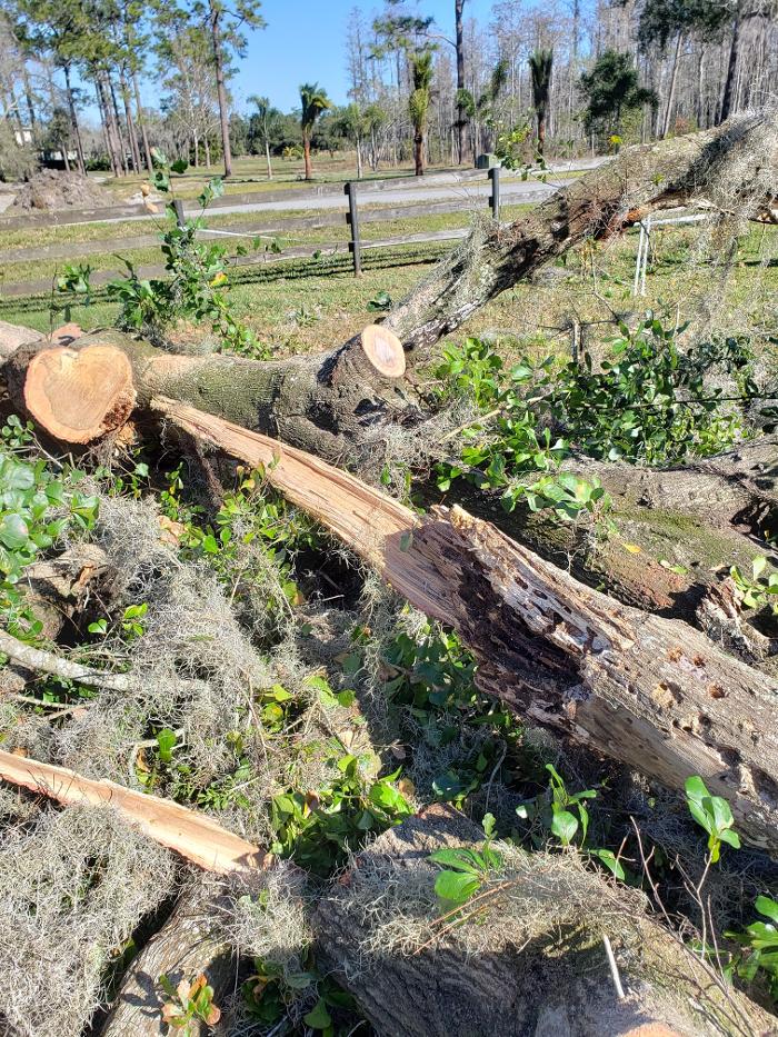 Spring Scape LLC - Spring Hill, FL