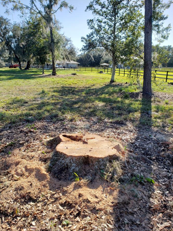 Spring Scape LLC - Spring Hill, FL