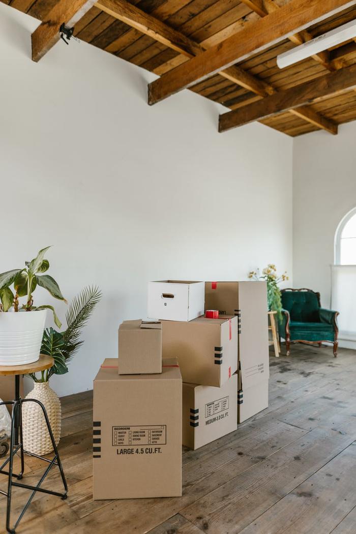 MJ Next Level Movers - Lanham, MD
