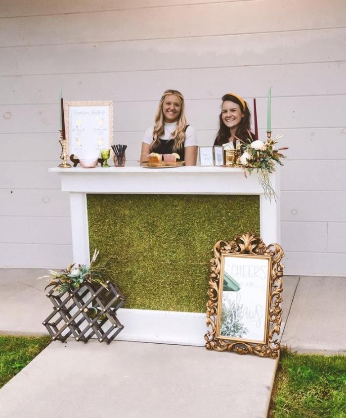 Ginseng Mobile Bar - Erwin, TN