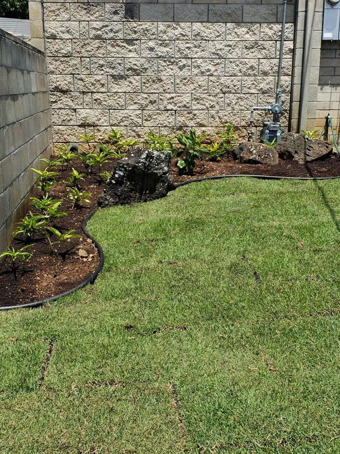ProLawn n Landscape LLC - Kailua, HI