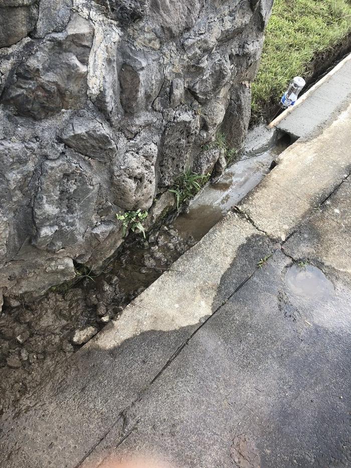 ProLawn n Landscape LLC - Kailua, HI