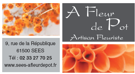 a fleur de pot Ouvert le dimanche