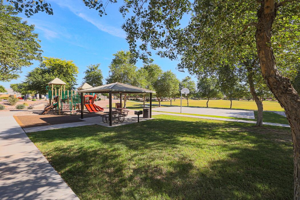 LGI Homes - Terravista Image