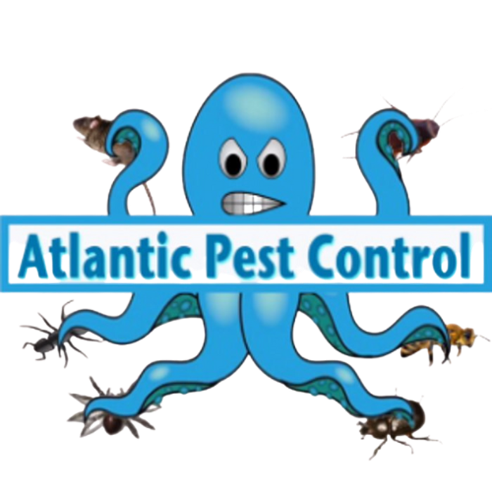Atlantic Pest Control Inc - Boynton Beach, FL