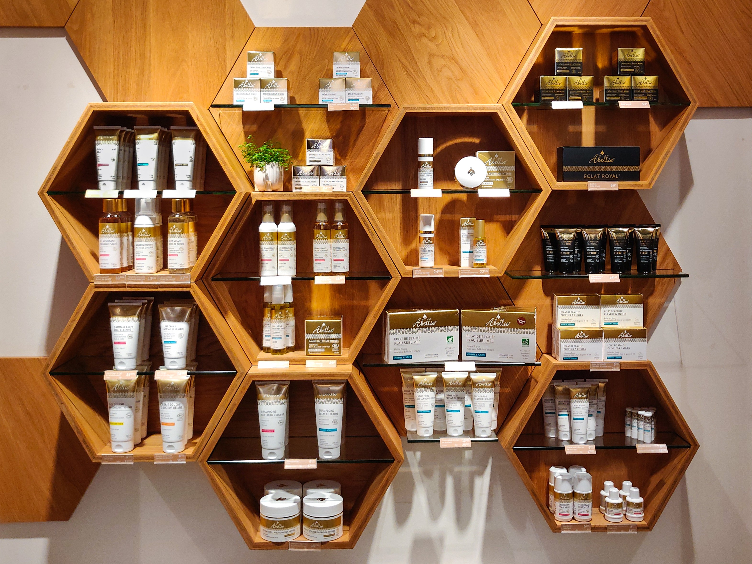 Miniature de la galerie