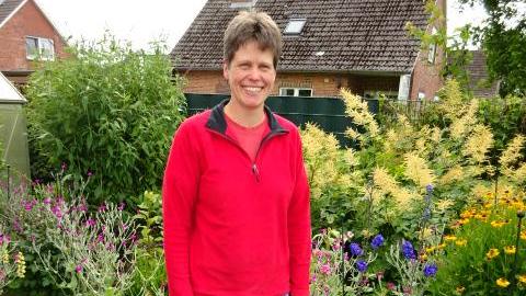 Geerkens Gartenbau, Franzosensand in Friedrichskoog