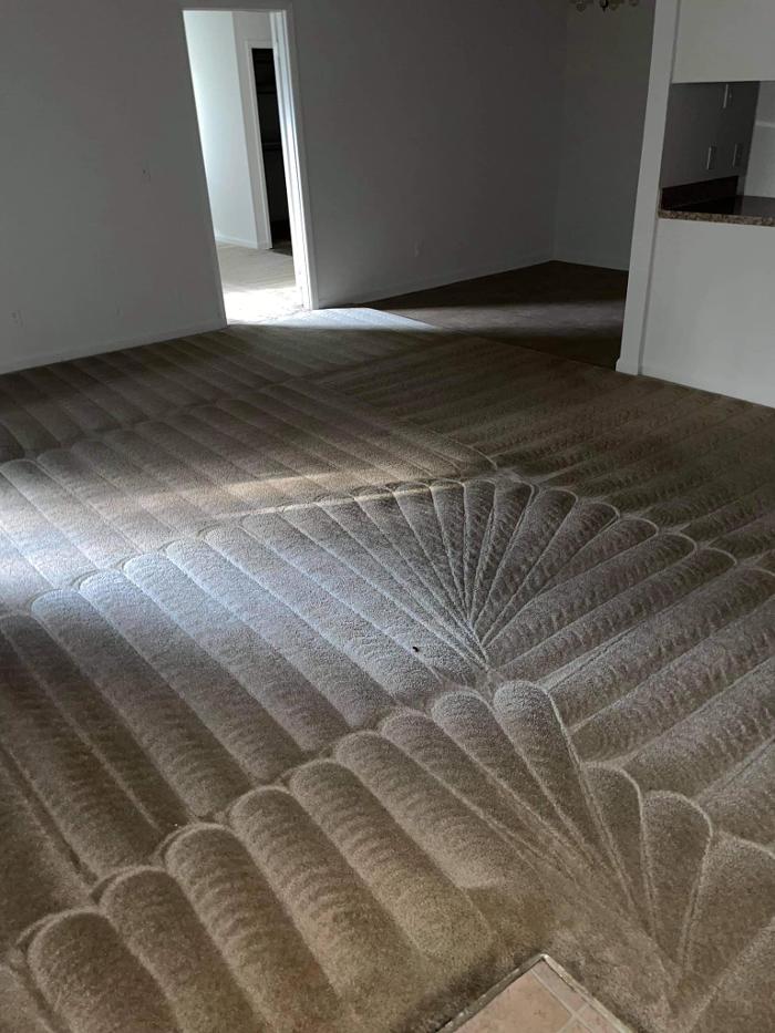 ULTRA Carpet Solutions - Warm Springs, GA
