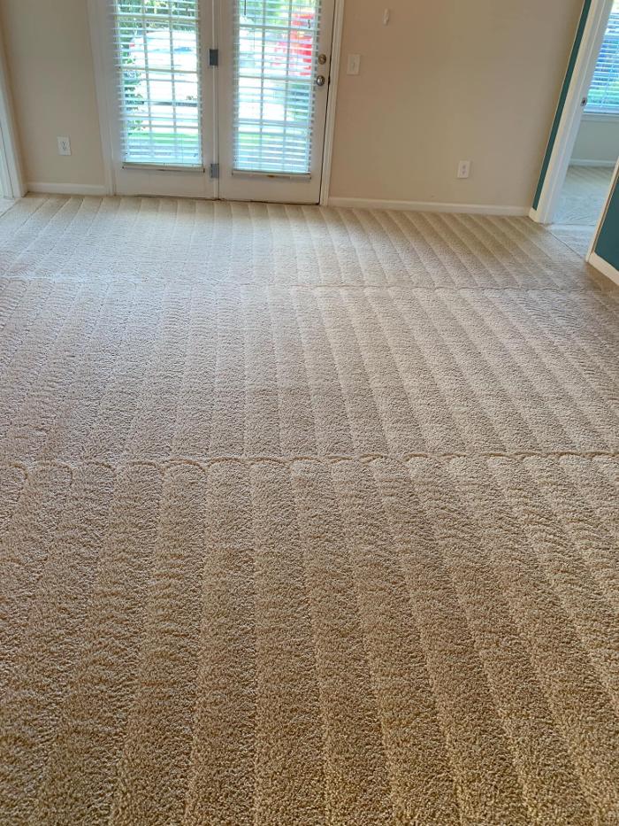 ULTRA Carpet Solutions - Warm Springs, GA