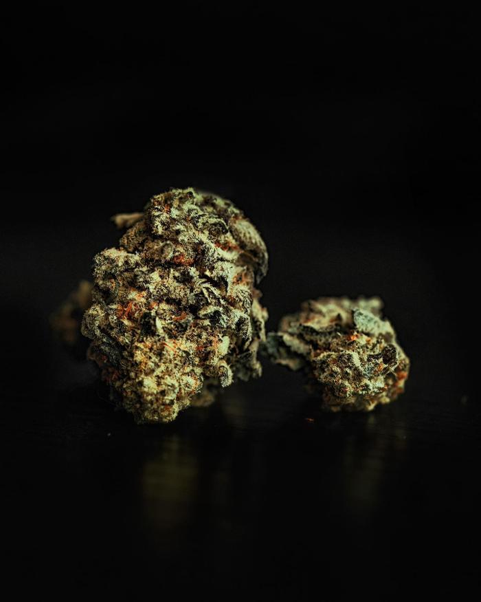 JARS Cannabis - Payson - Payson, AZ