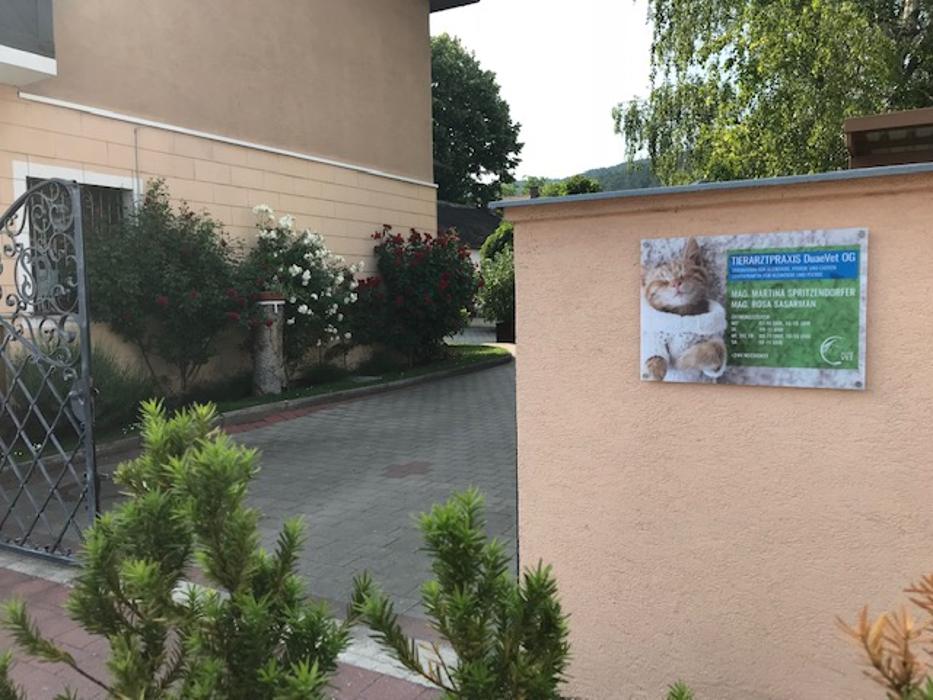 Tierarztpraxis DuaeVet OG, Gutensteiner Straße in Markt Piesting