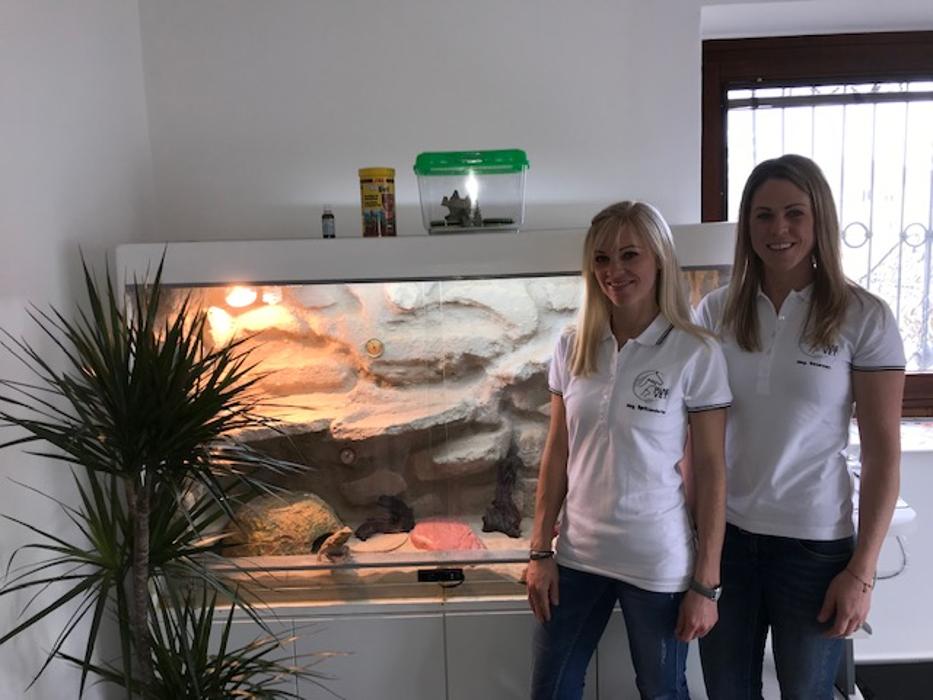 Tierarztpraxis DuaeVet OG, Gutensteiner Straße in Markt Piesting