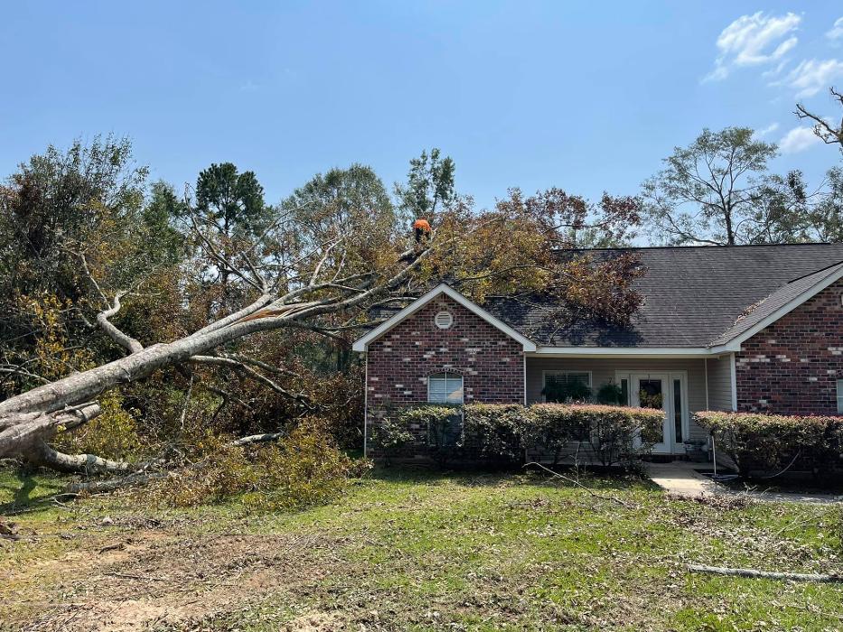 Xpress Land & Tree Management LLC - Ormond Beach, FL